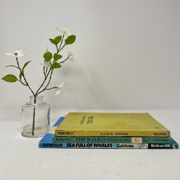 Three Vintage Hardcover Ocean Books Childrens Ex Library Whales Walrus Sea - Picture 2 of 8